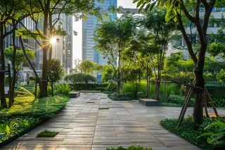 Urban Erosion Management: Effective Solutions for City Landscape Challenges