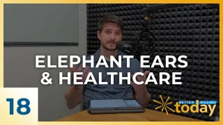 BBT Ep. 18: Elephant Ears & Healthcare