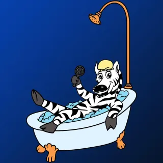 IT DOESN’T MATTER HOW THE ZEBRA GOT INTO THE BATHTUB…