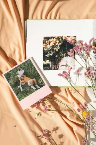 Why Digital Photo Organization is Essential in the Digital Age