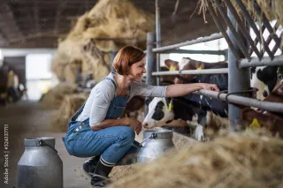 Plowing Through Pain: How Farmers Battle Orthopedic Injuries and Find Healing
