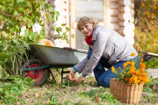Cultivating Comfort: Preventing Pain in Gardening 