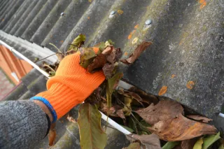 Roofing Tips for St. Louis Homes in Every Season