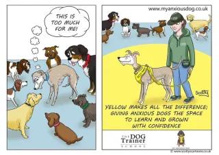 The Dog Trainer School x My Anxious Dog
