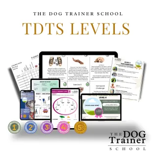 Unlock Client Retention with The Dog Trainer School Levels