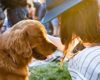 Start Your Dog Training Business in the UK