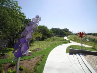 Hidden Gems in South Houston: The Beauty of Neighborhood Pocket Gardens