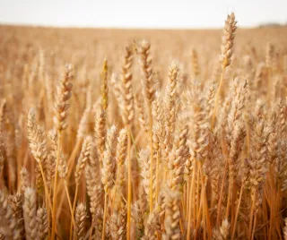 Unbelievable Government Benefits for Landowners