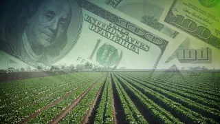 Why Rural Real Estate is So Attractive