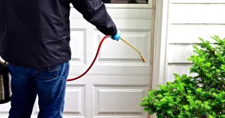 TERMITE TREATMENT IN ADELAIDE
