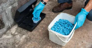 RODENT CONTROL ADELAIDE