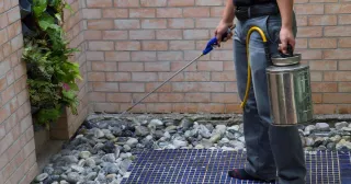 TERMITE CONTROL ADELAIDE