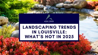 Landscaping Trends in Louisville: What’s Hot in 2025