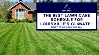 The Best Lawn Care Schedule for Louisville’s Climate: What to Do Each Season