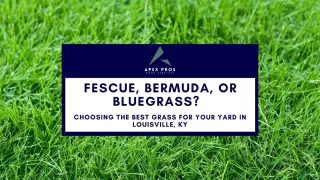 Fescue, Bermuda, or Bluegrass? Choosing the Best Grass for Your Yard in Louisville, KY