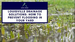 Louisville Drainage Solutions: How to Prevent Flooding in Your Yard