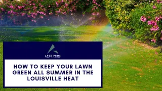 How to Keep Your Lawn Green All Summer in the Louisville Heat