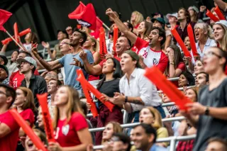 Cargo Cart Pro: Enhancing Accessibility During Sporting Events