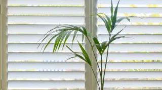 Are Plantation Shutters Out of Style?