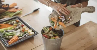 What Kind of Compost Is Good for Gardening?