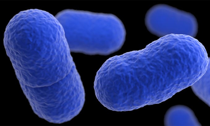 CDC warns of Listeria linked to ready-to-eat meat and poultry products