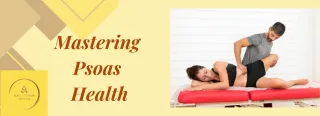 Mastering Psoas Health
: Key to Reducing Pain and Improving Mobility