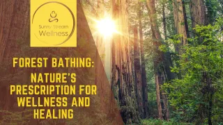 Forest Bathing: Reconnecting with Nature for Well-being