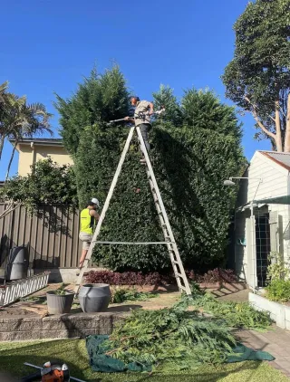 Best Ryde Hedge Trimming  & Pruning