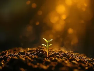 Cultivating Compassion