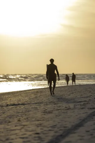 Siesta Key in the City