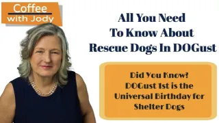 All You Need To Know About Rescue Dogs in DOGust