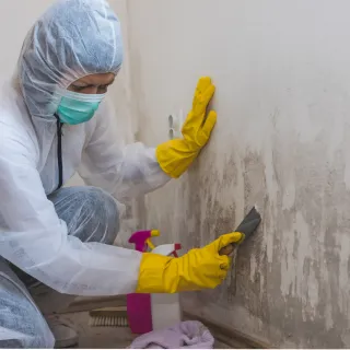 Article: Dangerous

Toxic Mold

The Fire Cure 