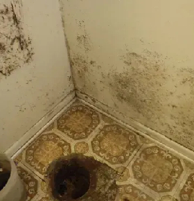 Property Damage
Restoration Services