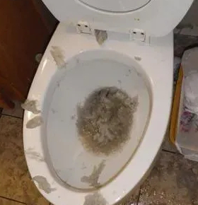 Emergency Sewage Cleanup Guide for Home & Family Safety