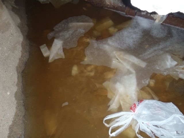 Contaminated Water Cleanup & Sewage Disinfection Guide