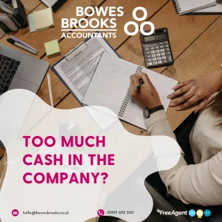 Too much cash in the company?