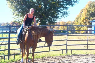 The Heroes of the Horse World