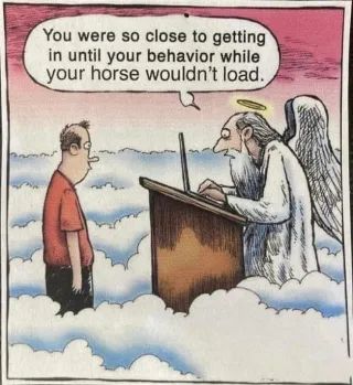 We Need to do Better, (Horse) Peoplee!