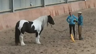 Why is it so Hard?