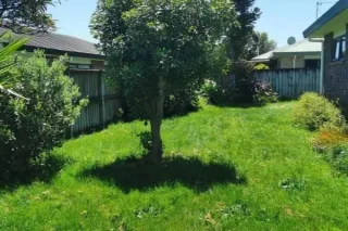 Why Do Some Parts of My Lawn Grow Faster Than Others?