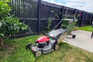 How Often Should You Mow Your Lawn in Spring?