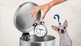 The Time-wasting Tactics Online Service Businesses do: And What To Do Instead