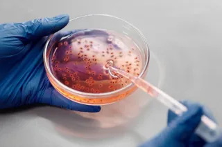 Workforce Capability Building in Biotechnology and Advanced Therapies