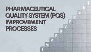 Pharmaceutical Quality System (PQS) Improvement Processes