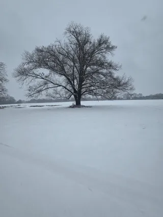 Sometimes It's Like The Snow
