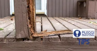 Can rotted wood be repaired?