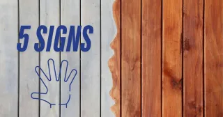5 Signs It’s Time to Re-Stain Your Fence or Deck | Pileggi Painting