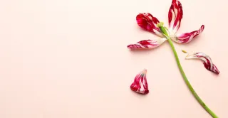 Balancing Your Hormones for a Healthy Libido