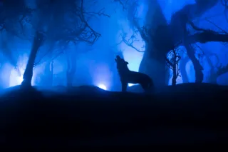 A Tale of the Cold & Wolf Moons