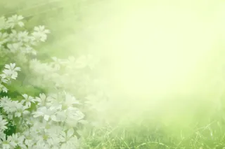 What does Spring mean to you?